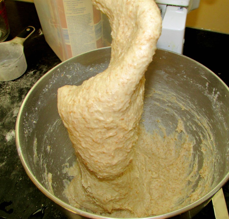 whole wheat cinnamon roll dough on mixer dough hook.