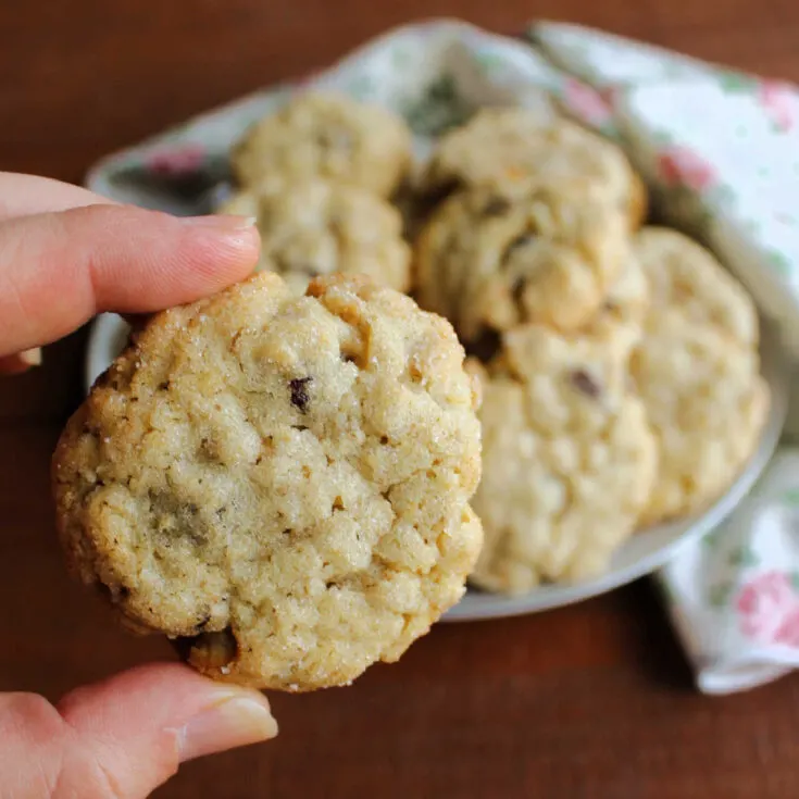Hand holding soft oatmeal raisin cookie with sugar coating on outside.