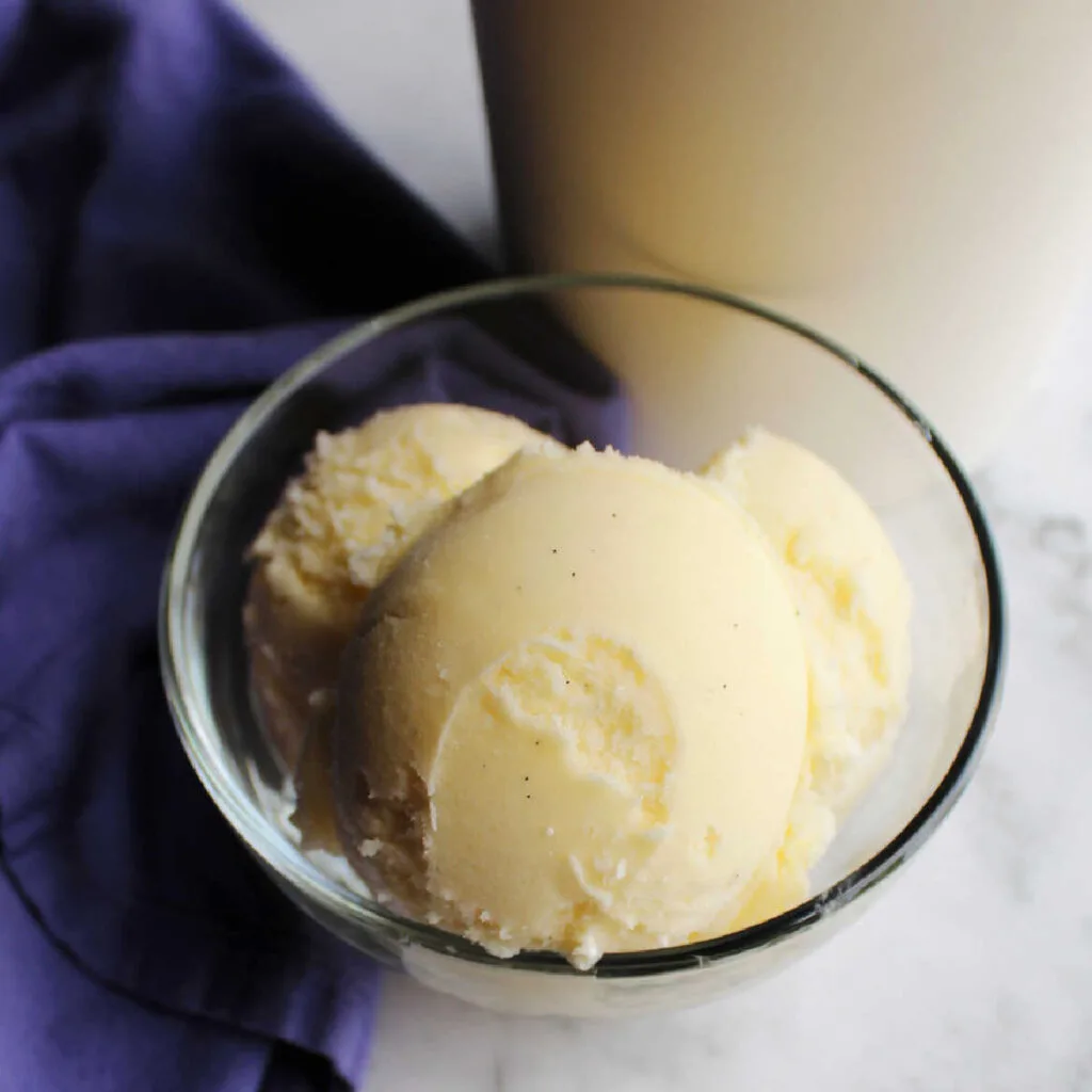 Scoops of smooth creamy vanilla ice cream in glass bowl by storage container.