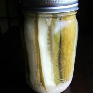 Jar of homemade refrigerator pickle spears.