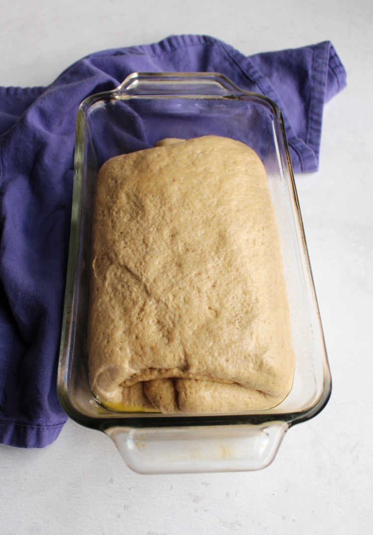 sourdough sandwich bread dough in loaf pan
