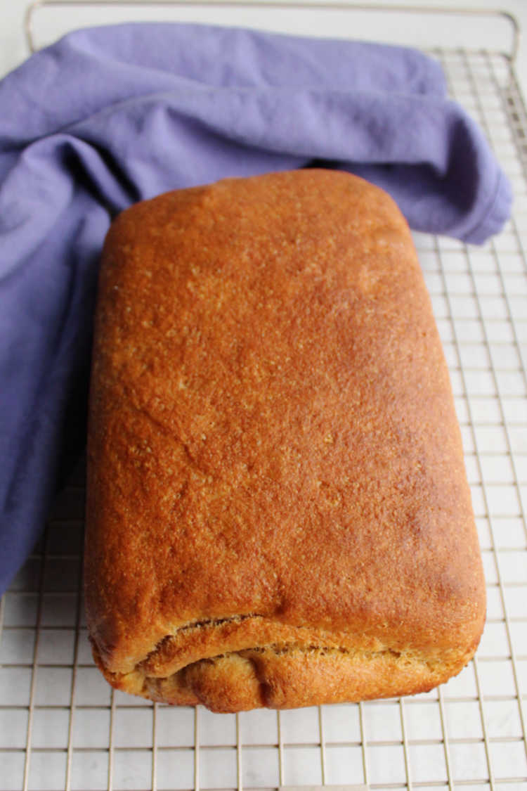 golden brown loaf of freshly baked sourdough wheat sandwich bread