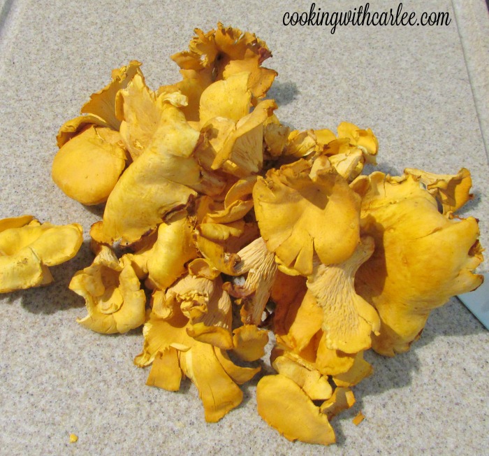 Pile of golden yellow chanterelle mushrooms on cutting board.