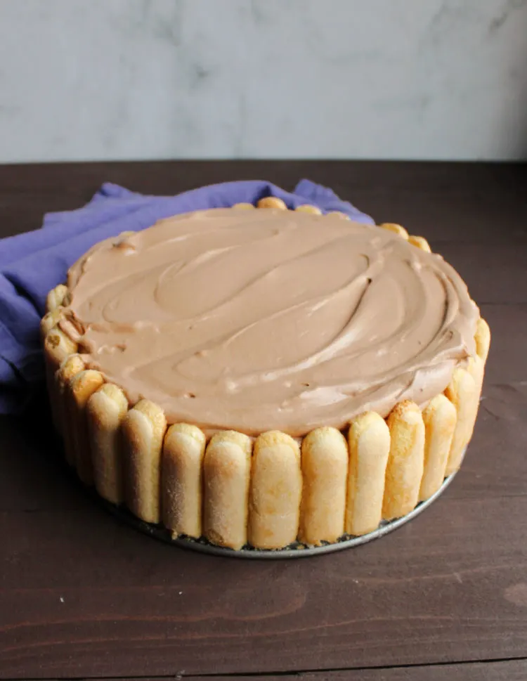 whole mocha cheesecake with lady finger crust