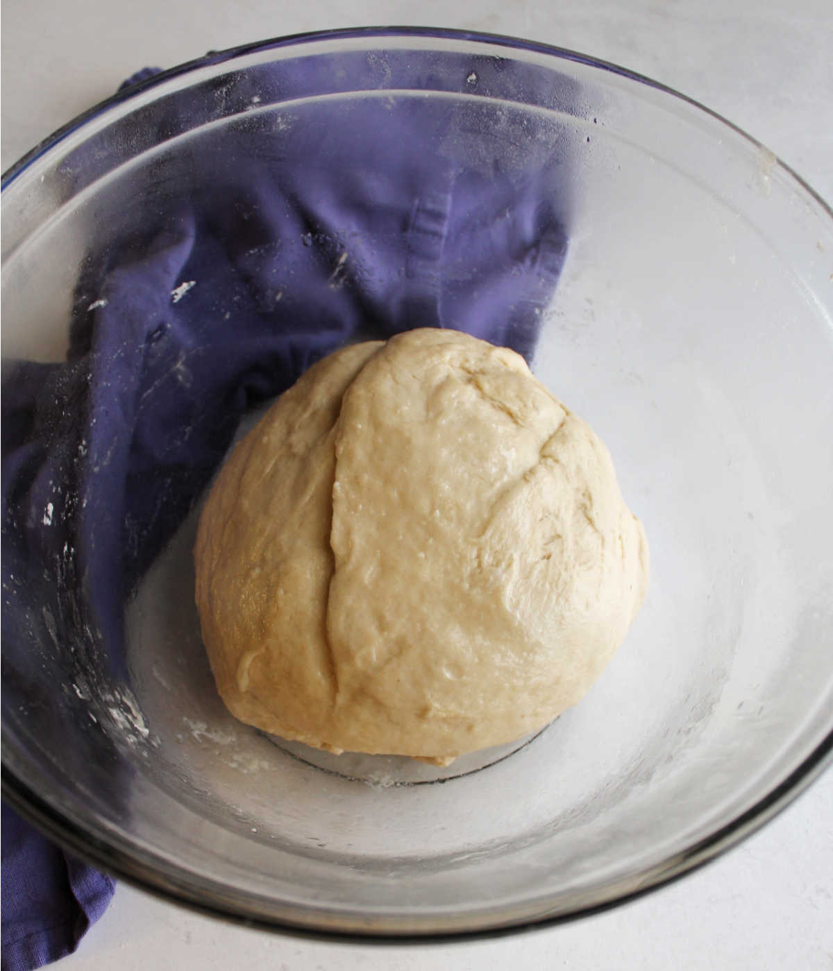 Greased bowl with ball of kneaded pizza dough, ready to proof.