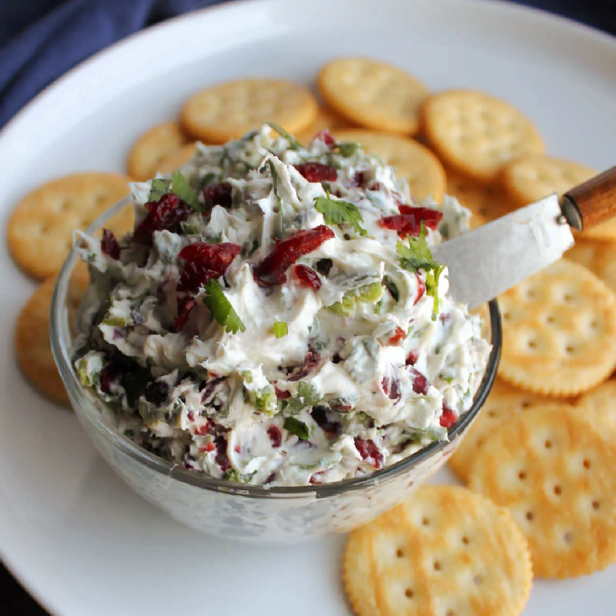 small bowl of cranberry jalapeno cream cheese spread on plate with crackers, ready to eat.