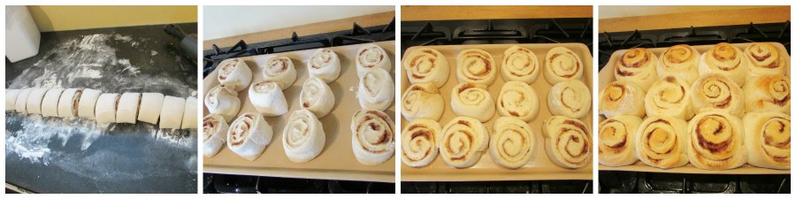 collage of forming dough into cinnamon buns