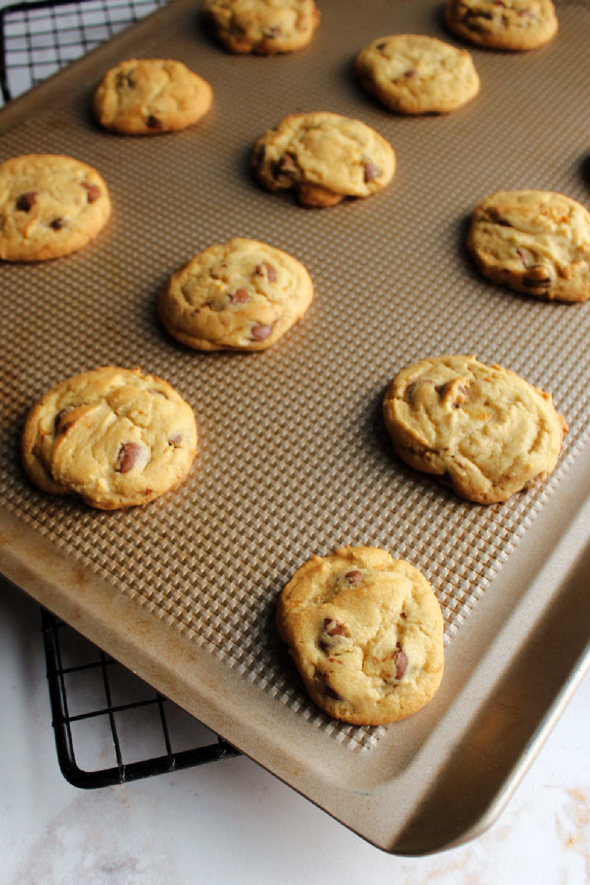 Cookie sheet filled with freshly baked chocolate chip cookies. 