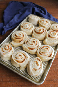 Pan with 12 freshly formed cinnamon rolls on it, ready to let them proof.