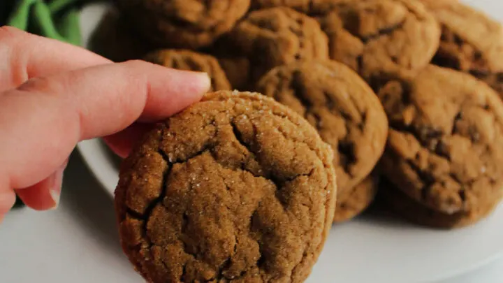 hand holding molasses cookies