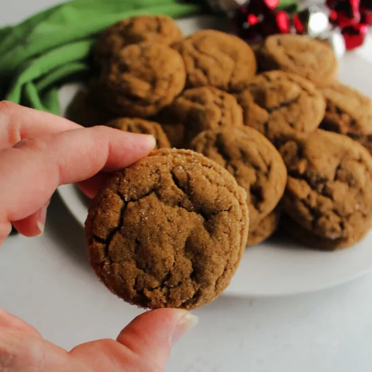 Hand holding crinkly looking spiced molasses cookie.