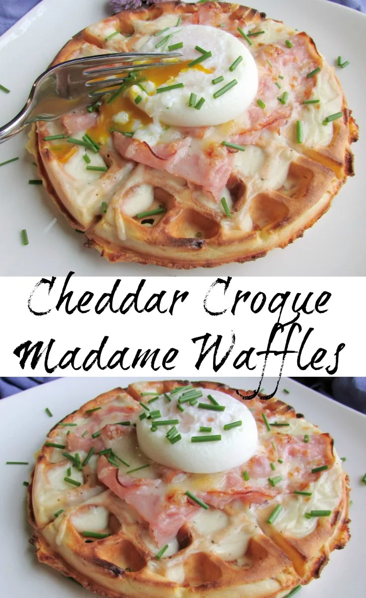 This is sure to become a brunch favorite. A ham and cheddar waffle is topped with creamy Dijon bechamel. More ham and cheese and a perfectly poached egg seal the deal for a fun brunch style twist on the classic French sandwich.