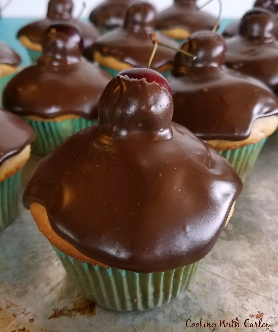 cherry cupcakes with shiny fudge icing and fresh cherry on top.