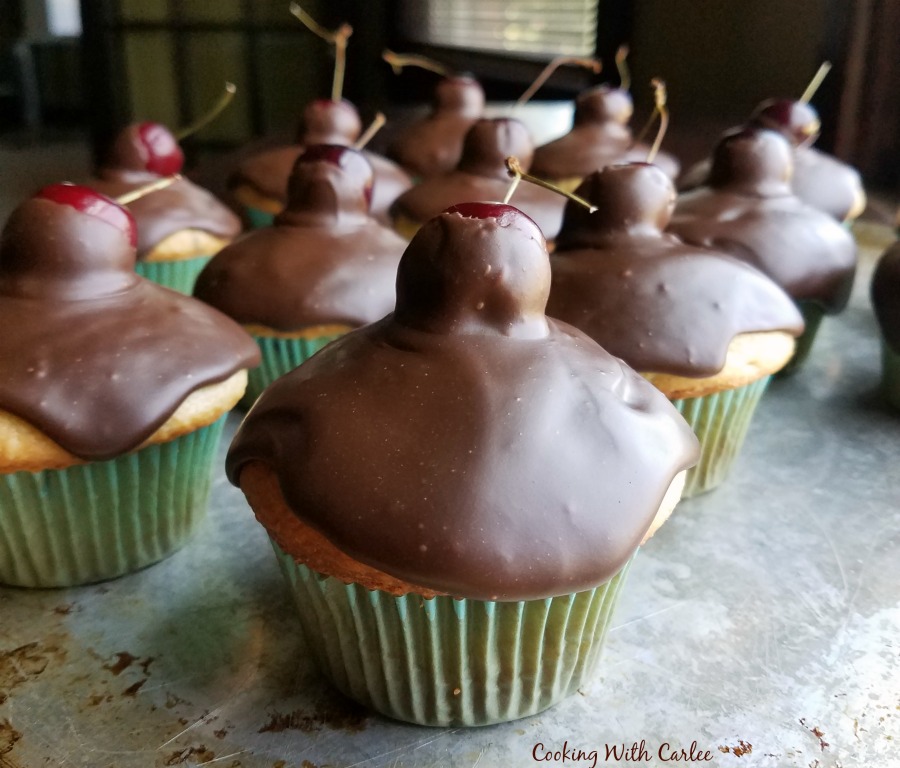 Homemade cherry chocolate chip cupcakes topped with a fresh cherry and chocolate fudge icing.