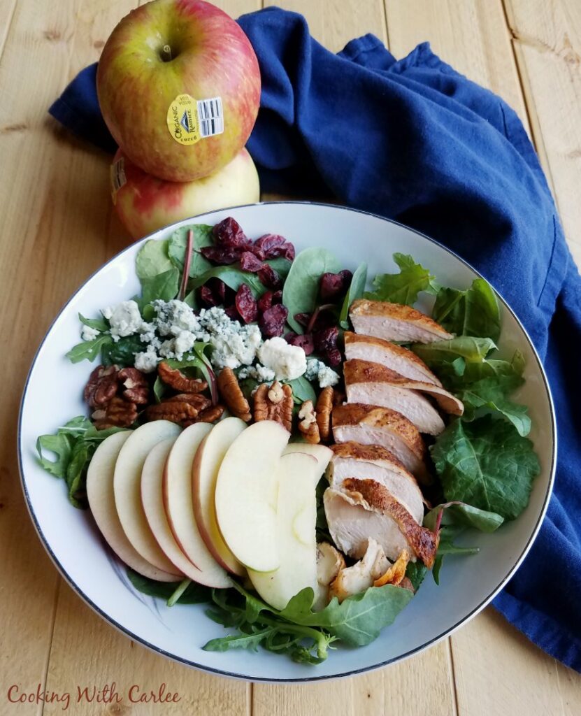 bowl with salad greens, apples, craisins, blue cheese, pecans and smoked chicken.