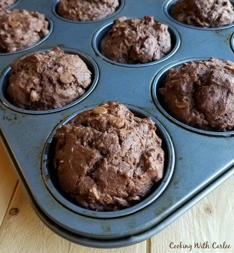 chocolate sourdough muffins with peanut butter chips in muffin pan.