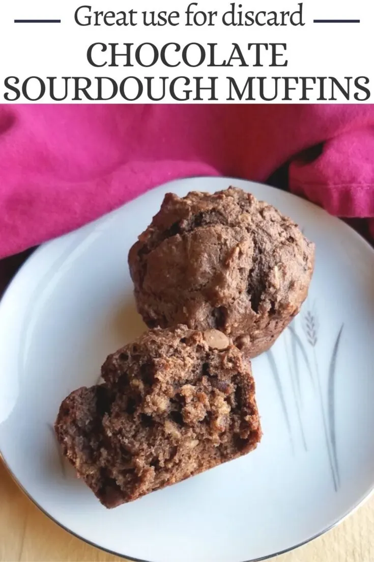 chocolate sourdough muffins