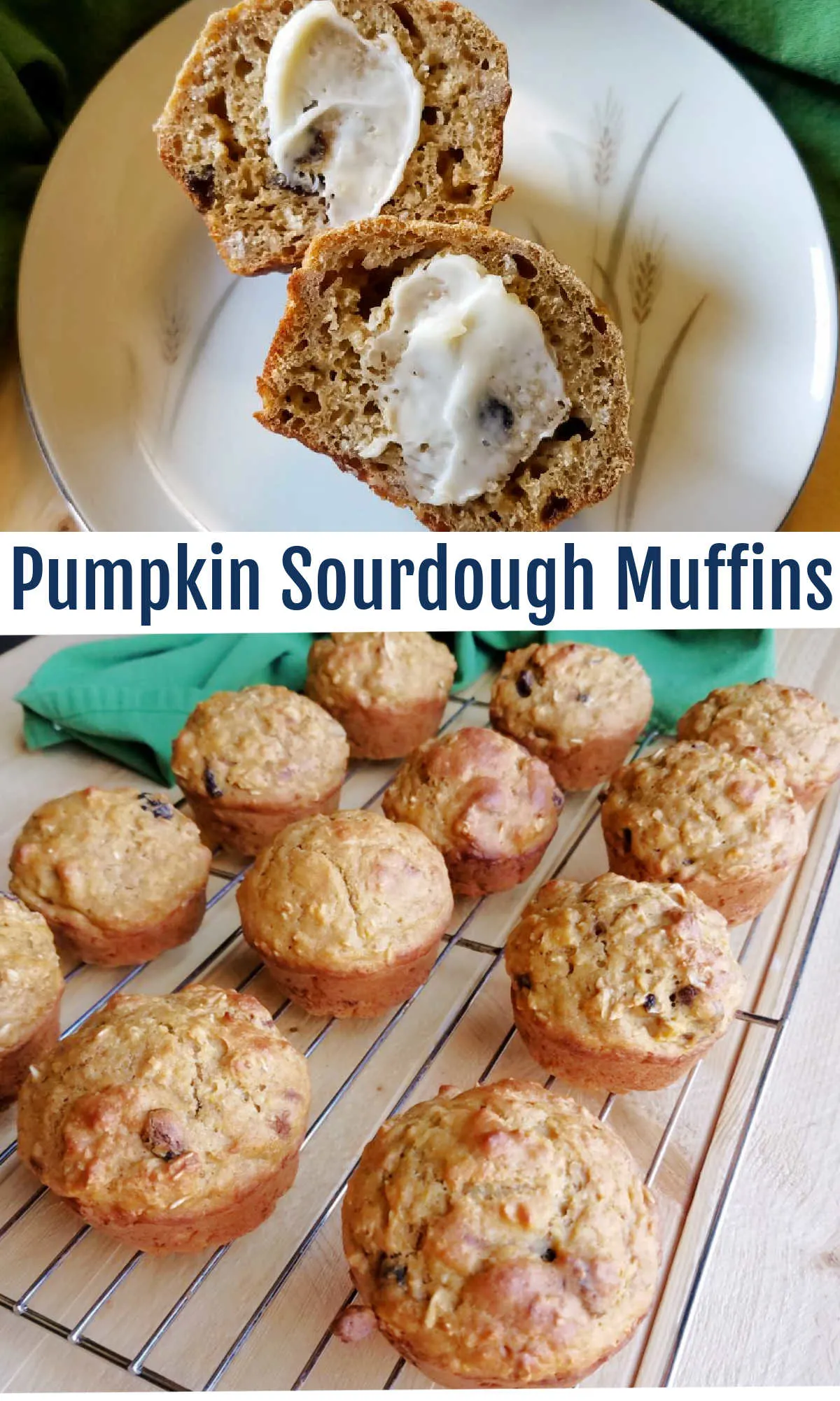 There is a ton of fall flavor packed into the muffins. Apples, pumpkin and cranberries join forces with sourdough to bring you surprisingly healthy but still deliciously tender muffins.