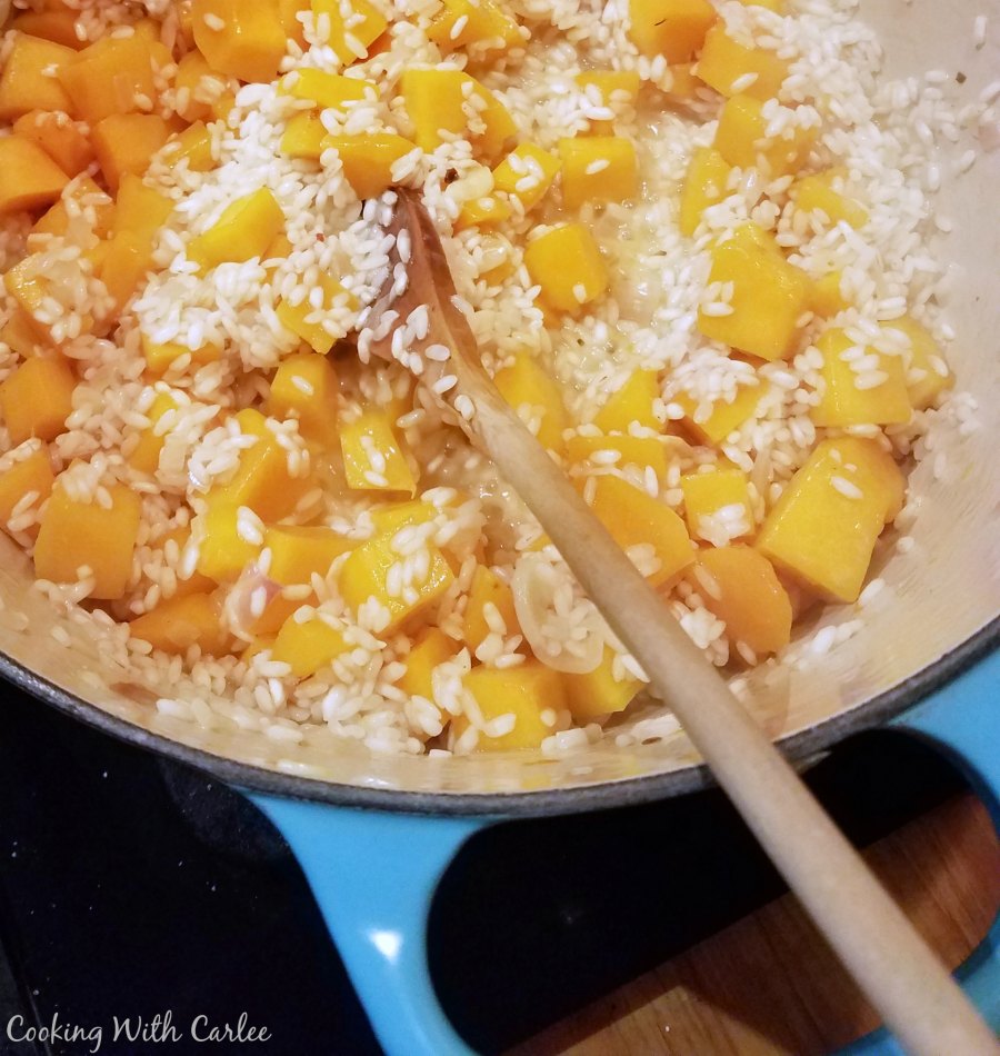 toasting arborio rice in dutch oven along with butternut squash chunks.