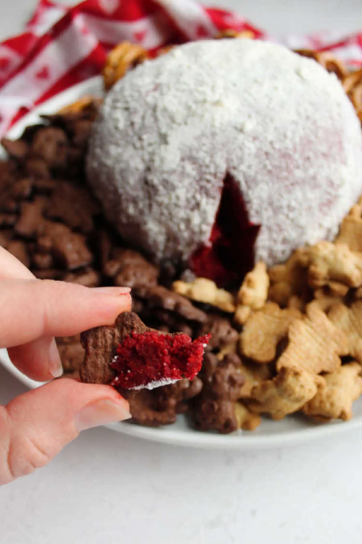 chocolate teddy graham with red velvet cheese ball on it.