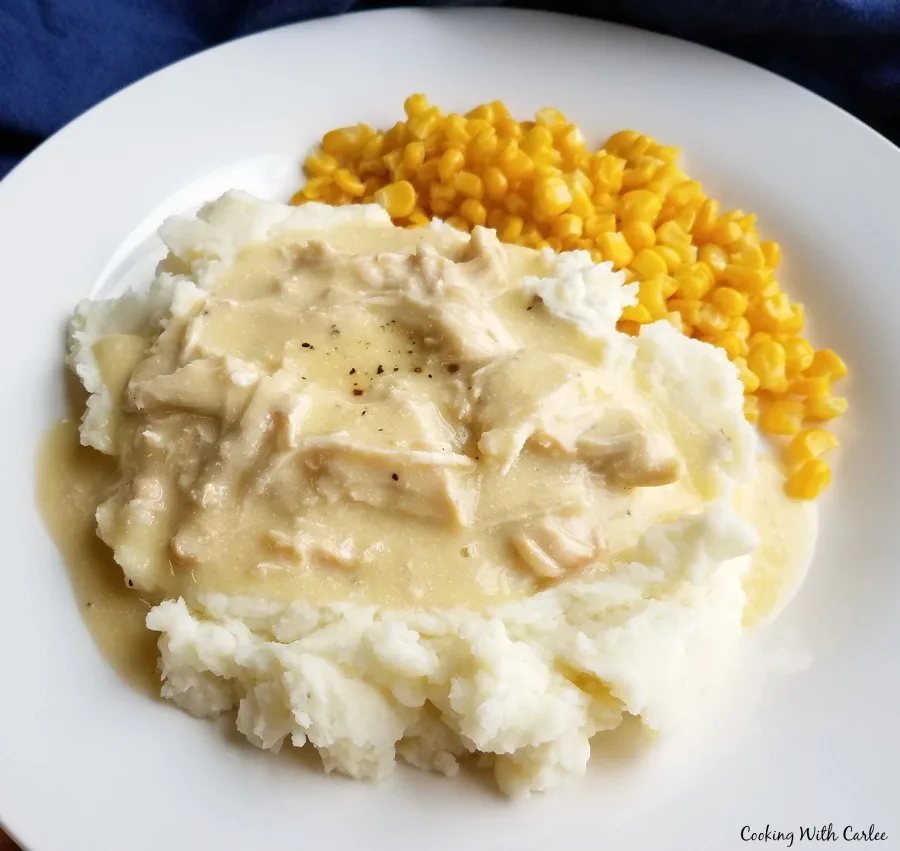 Creamy2BChicken2Band2BGravy2BServed2Bwith2BPotatoes2Bclose 2