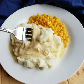 forkful of chicken and gravy with mashed potatoes.