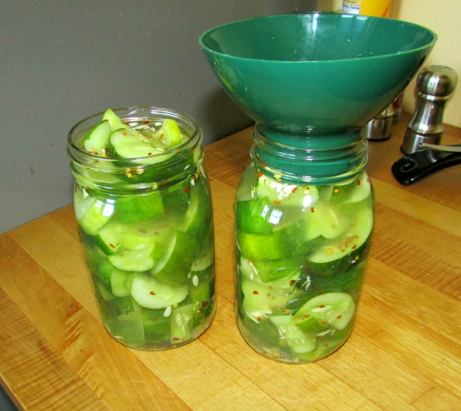 quart jars filled with freshly made quick pickles