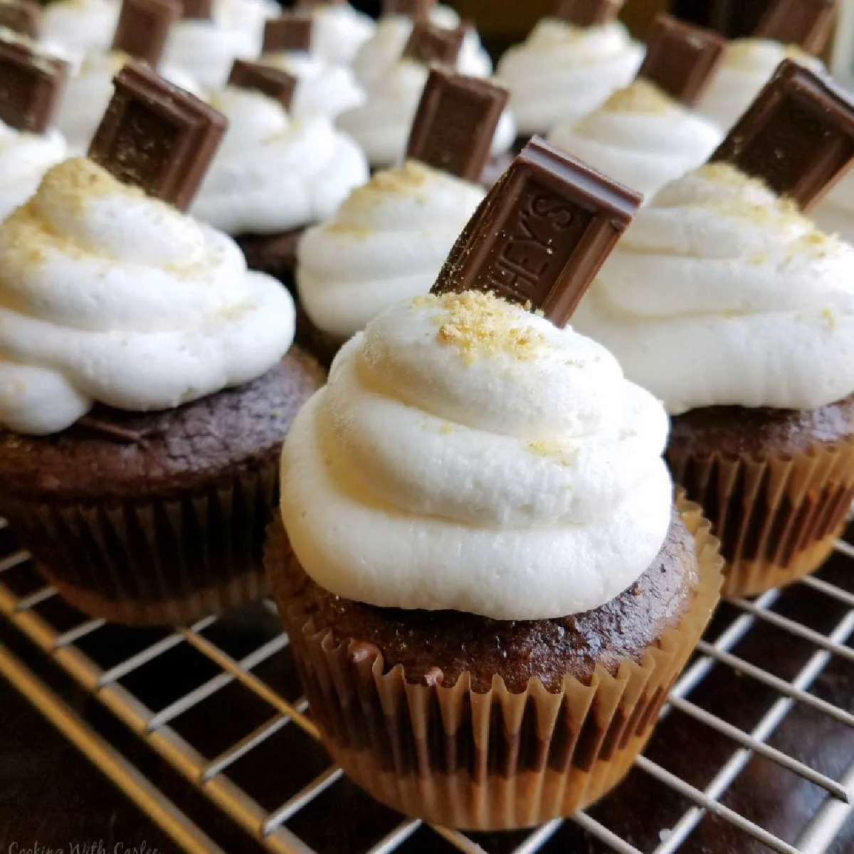 S'mores cupcakes with graham cracker crust, chocolate cupcakes and toasted marshmallow buttercream on top.