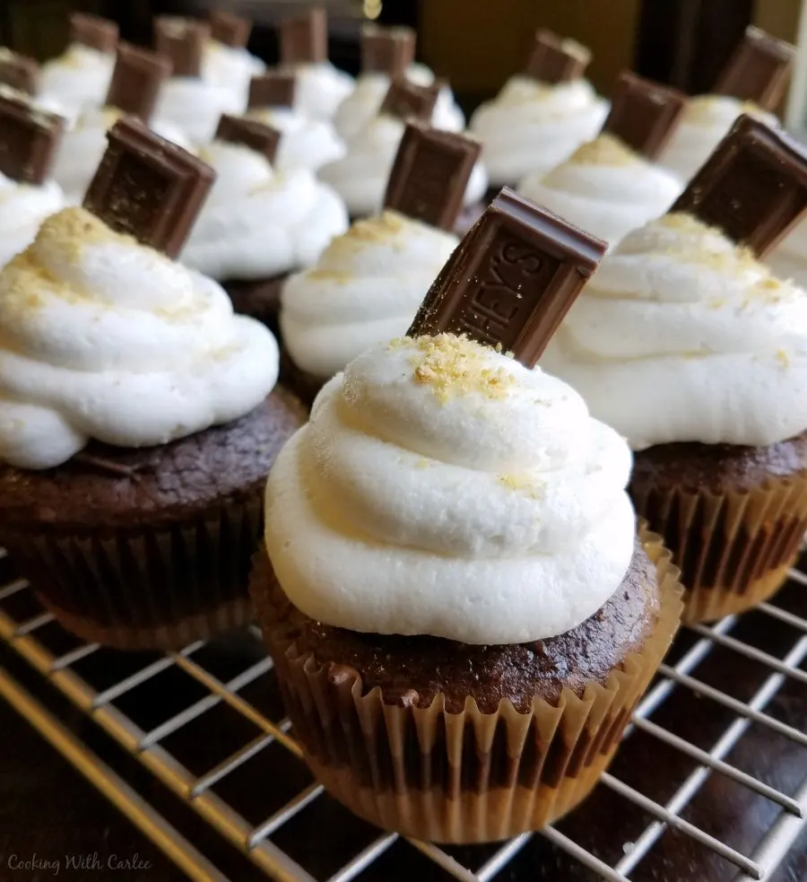 S'mores cupcakes with graham cracker crust, chocolate cupcakes and toasted marshmallow buttercream on top.