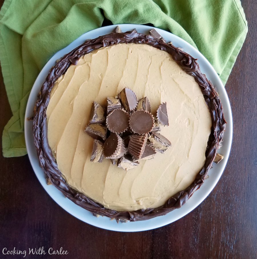 Whole peanut butter and chocolate buckeye cheesecake on platter.