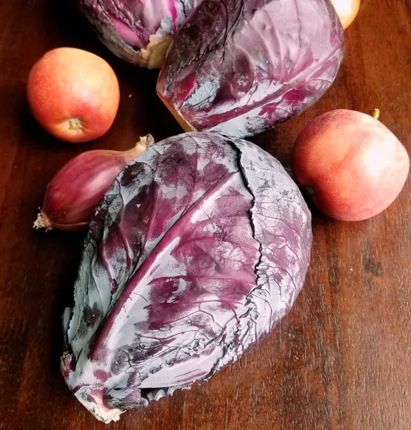 heads of red cabbage, apples and onions