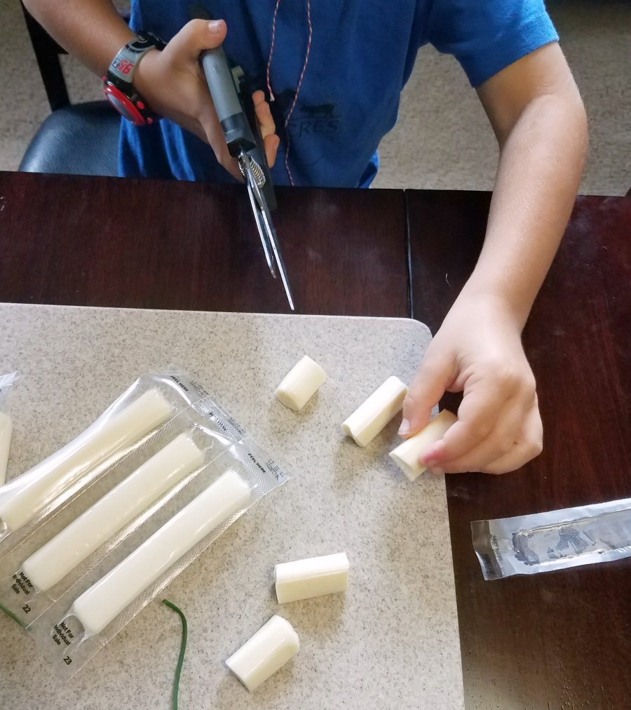 kid cutting cheese sticks into smaller pieces.