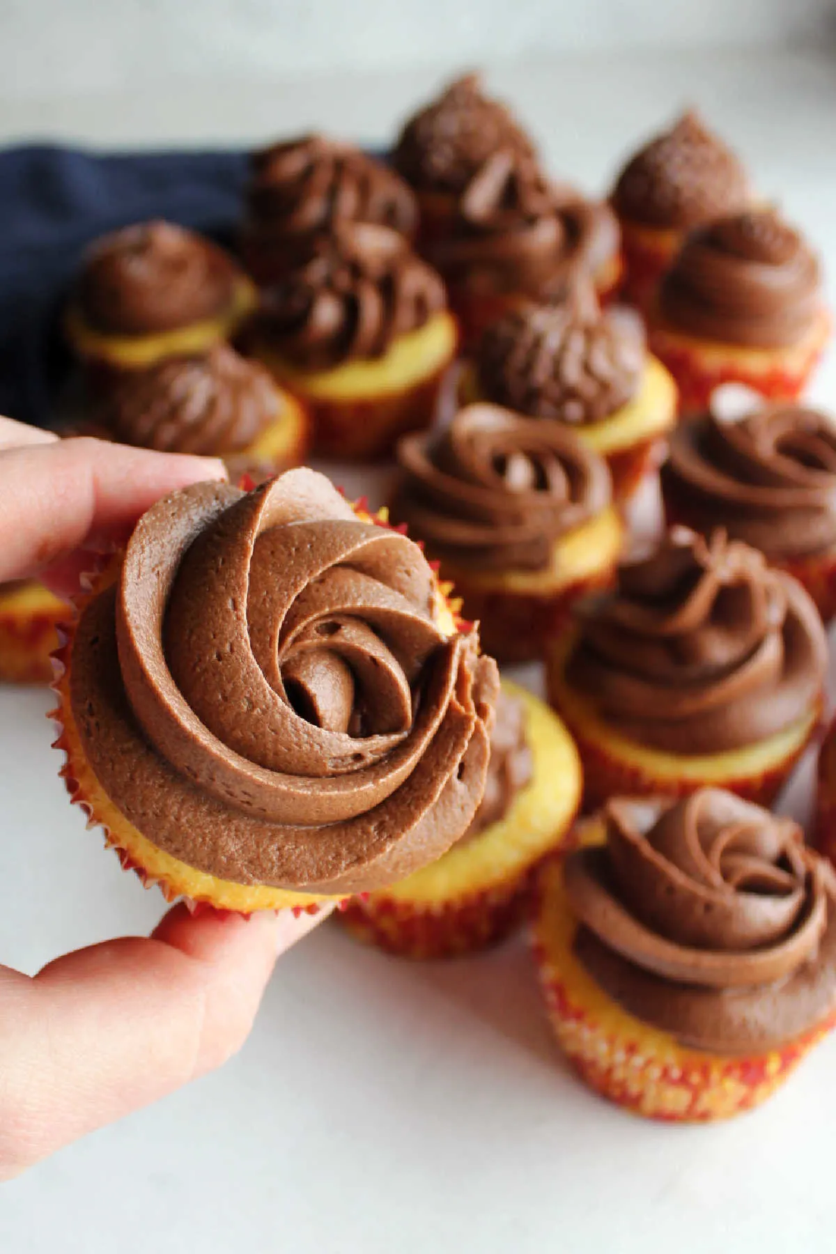 Hand holding cupcake topped with a piped rosette of chocolate fudge frosting.