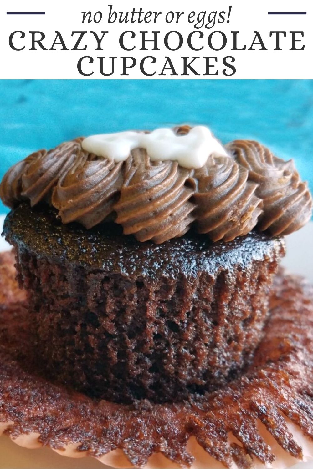 Soft and scrumptious chocolate cupcakes that are easy to make and have a rich chocolate flavor. These chocolate depression cupcakes are going to become an instant favorite in your family like they did in ours. The hardest part will be deciding which frosting to top them with!