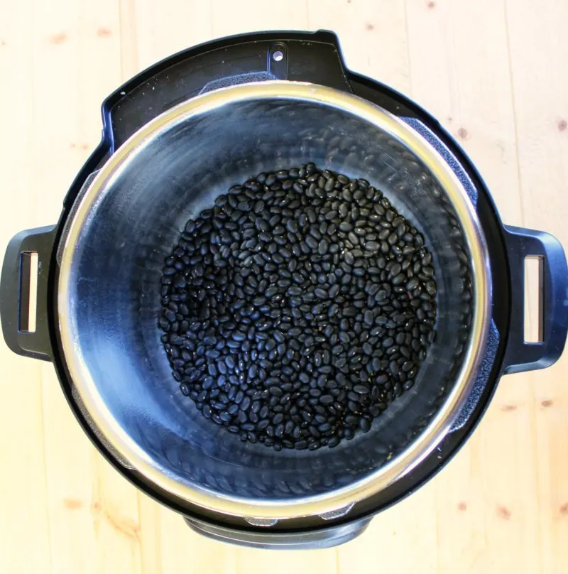 Dry black beans in the bottom of an instant pot.