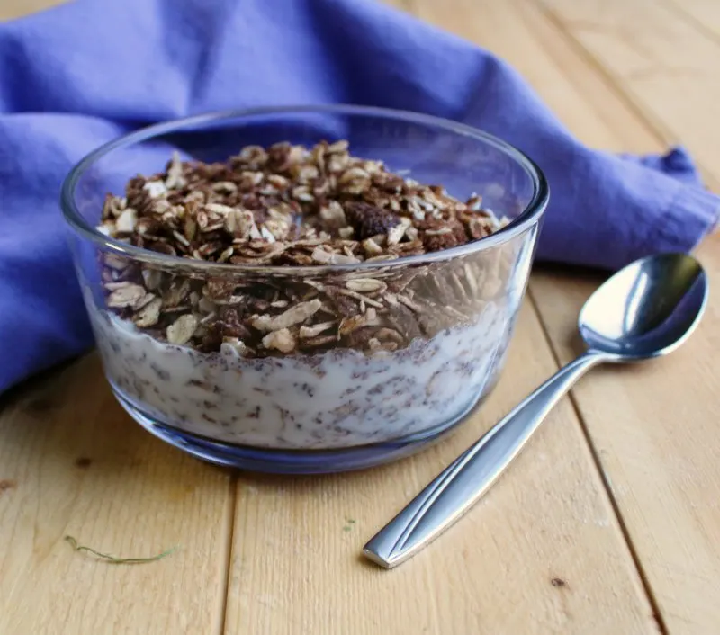 small bowl of chocolate granola with milk