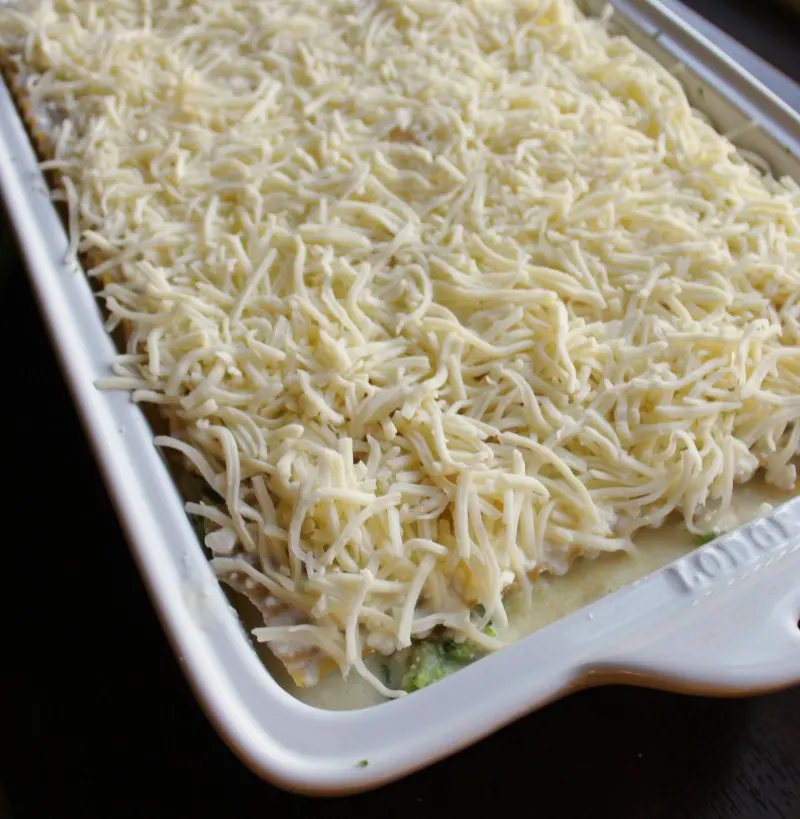 pan of alfredo lasagna covered with shredded mozzarella ready to go in oven.