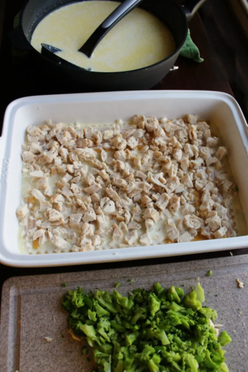 saucepan of alfredo sauce, lasagna pan with a layer of cubed chicken and cutting board with chopped broccoli.