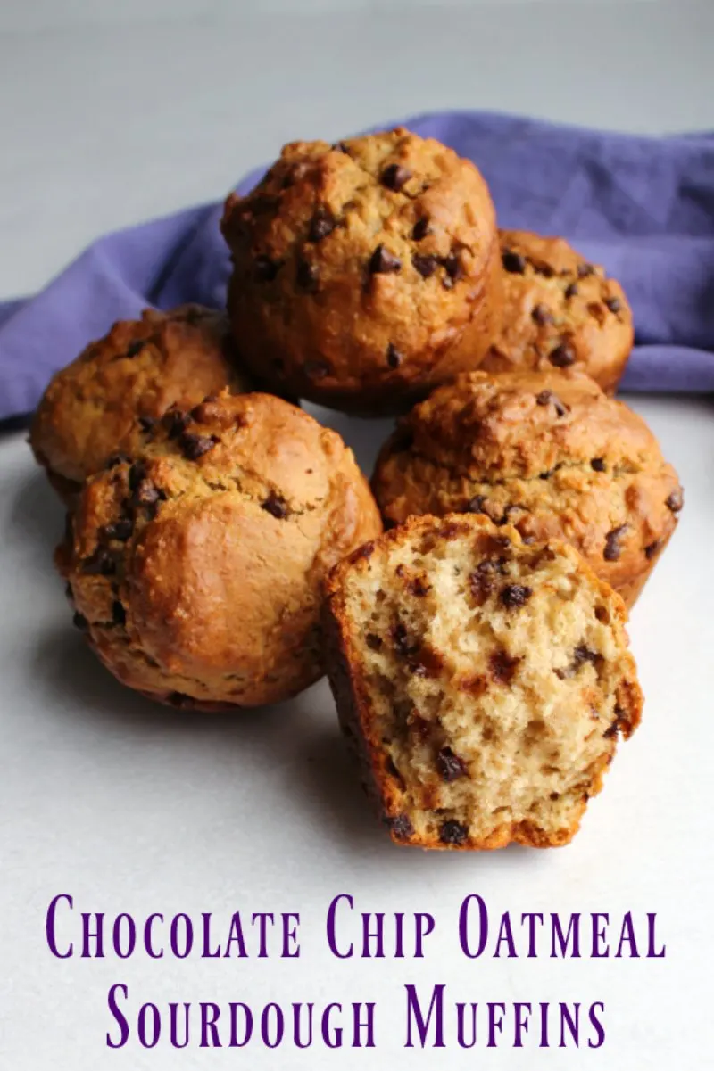 These chocolate chip sourdough muffins are a delicious and nutritious way to start your day! They are quick, easy and full of oatmeal and whole wheat goodness yet they are soft and yummy. So good!