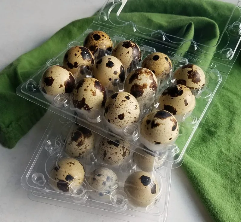 Containers of spotted quail eggs.