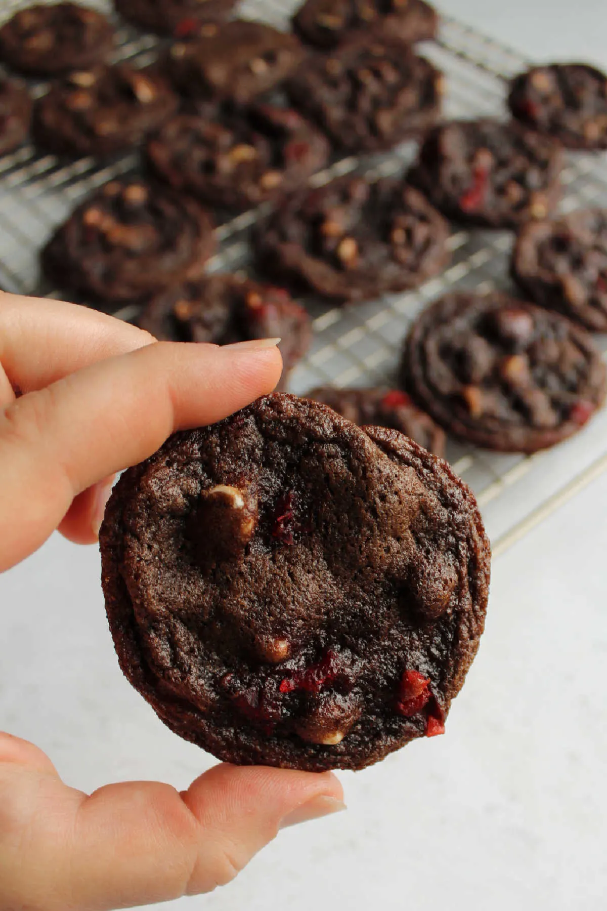 Hand holding chocolate cookie with white chocolate chips and bits of cherries in it with more cookies cooling on wire rack in the background.