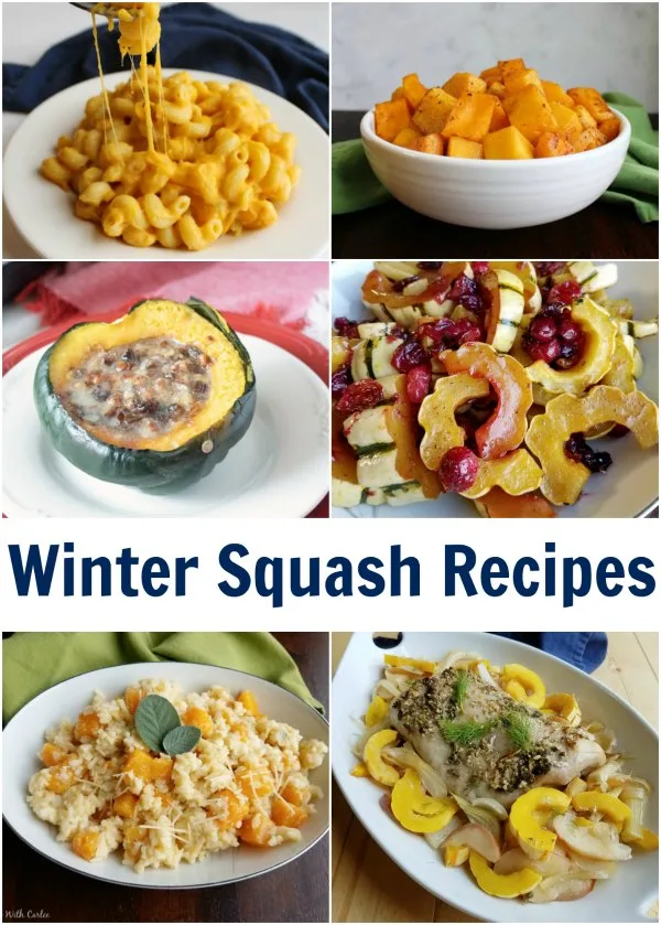All of the varieties of winter squash are wonderful in their own way. Here is a collection of some our favorite recipes featuring the bounty of fall and winter squash.