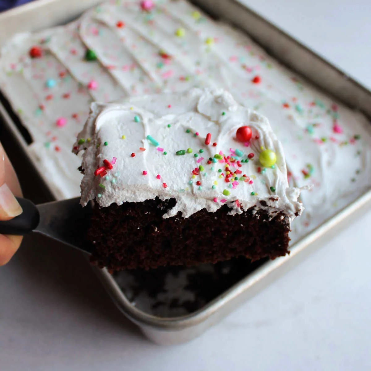 slice of devilishly good chocolate sheet cake with fluffy white seven minute frosting and sprinkles.