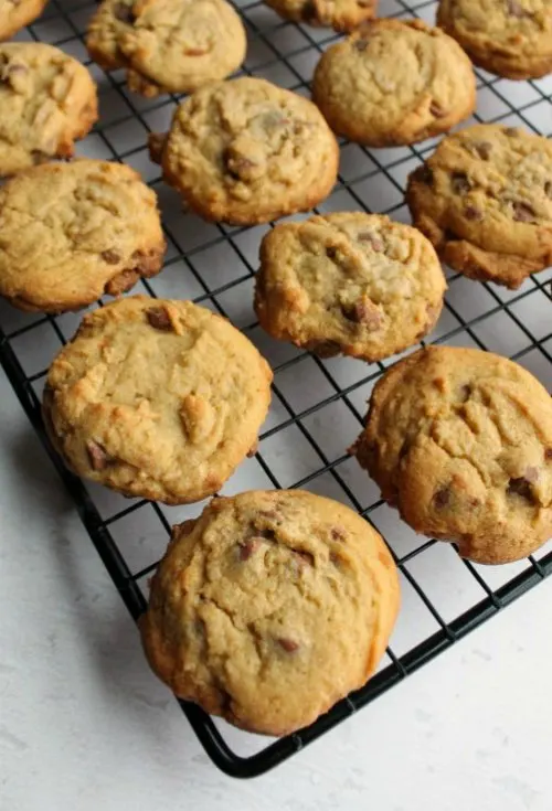 freshly baked chewy vanilla pudding chocolate chip cookies on a cooling rack