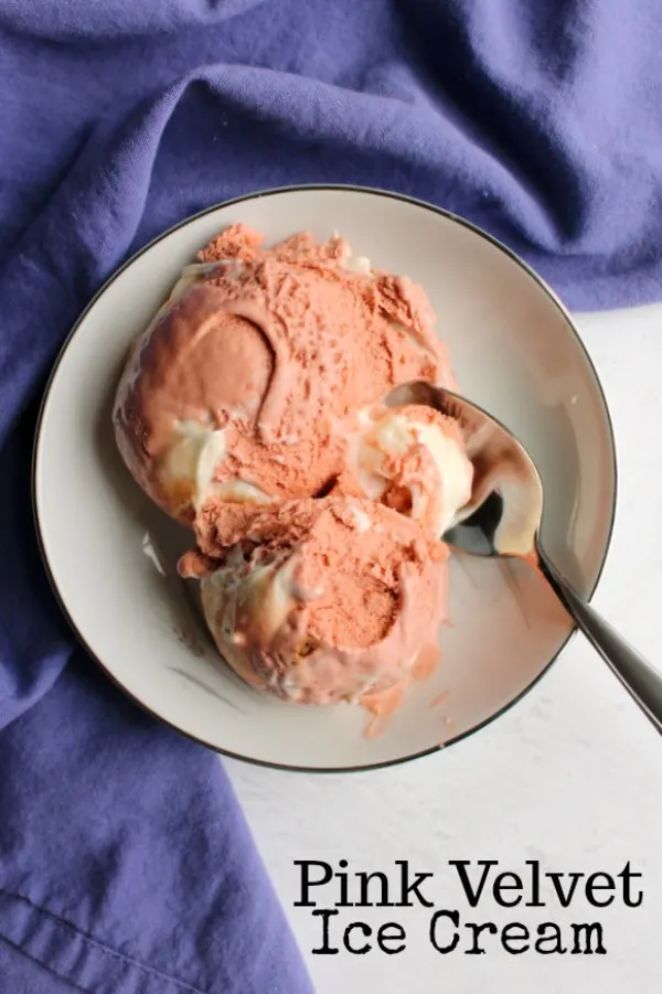 Creamy delicious lightly chocolate ice cream with a swirl of cream cheese frosting. If you like red velvet cake you are going to love this pink velvet ice cream.