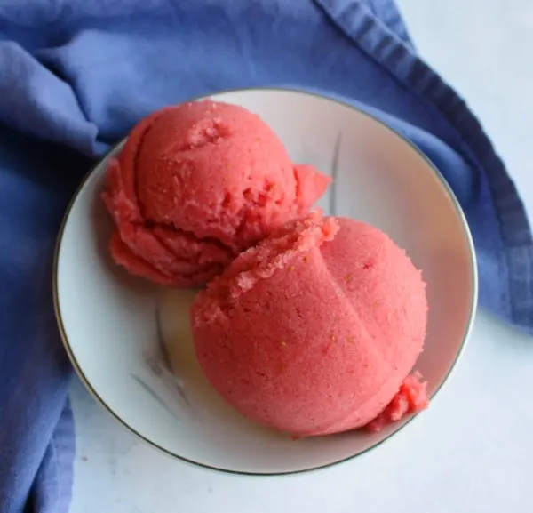 two scoops of sorbet in small bowl.