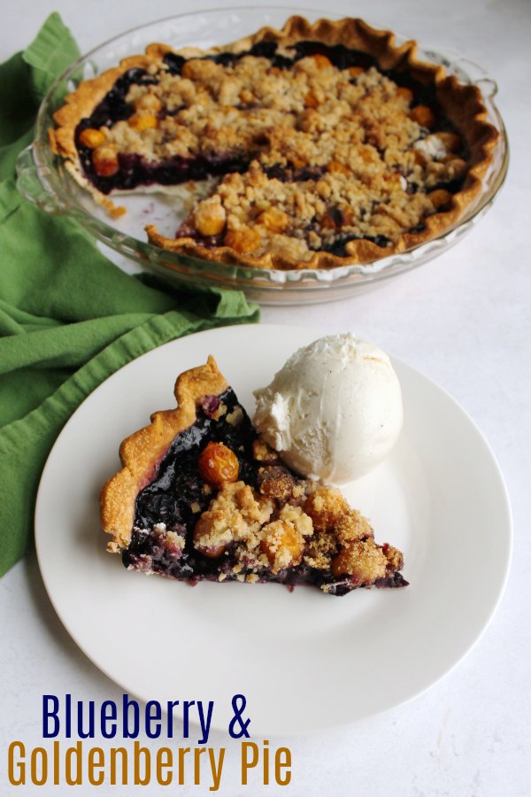 Turn goldenberries into a simple crumble topped pie. It's a perfectly easy way to turn the fun fruit into a delicious dessert!