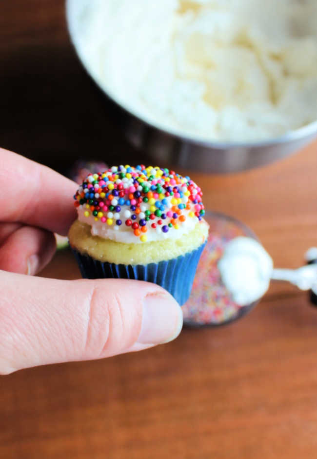 hand holding mini cupcake with frosting coated in small sprinkles