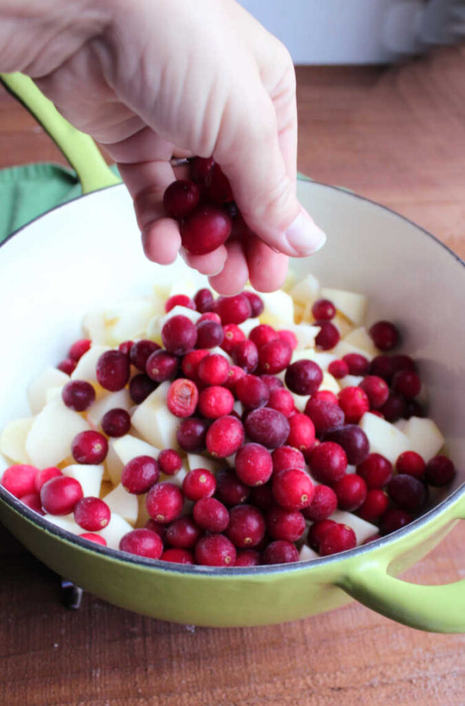 hand sprinkling cranberries into pan with diced apples.