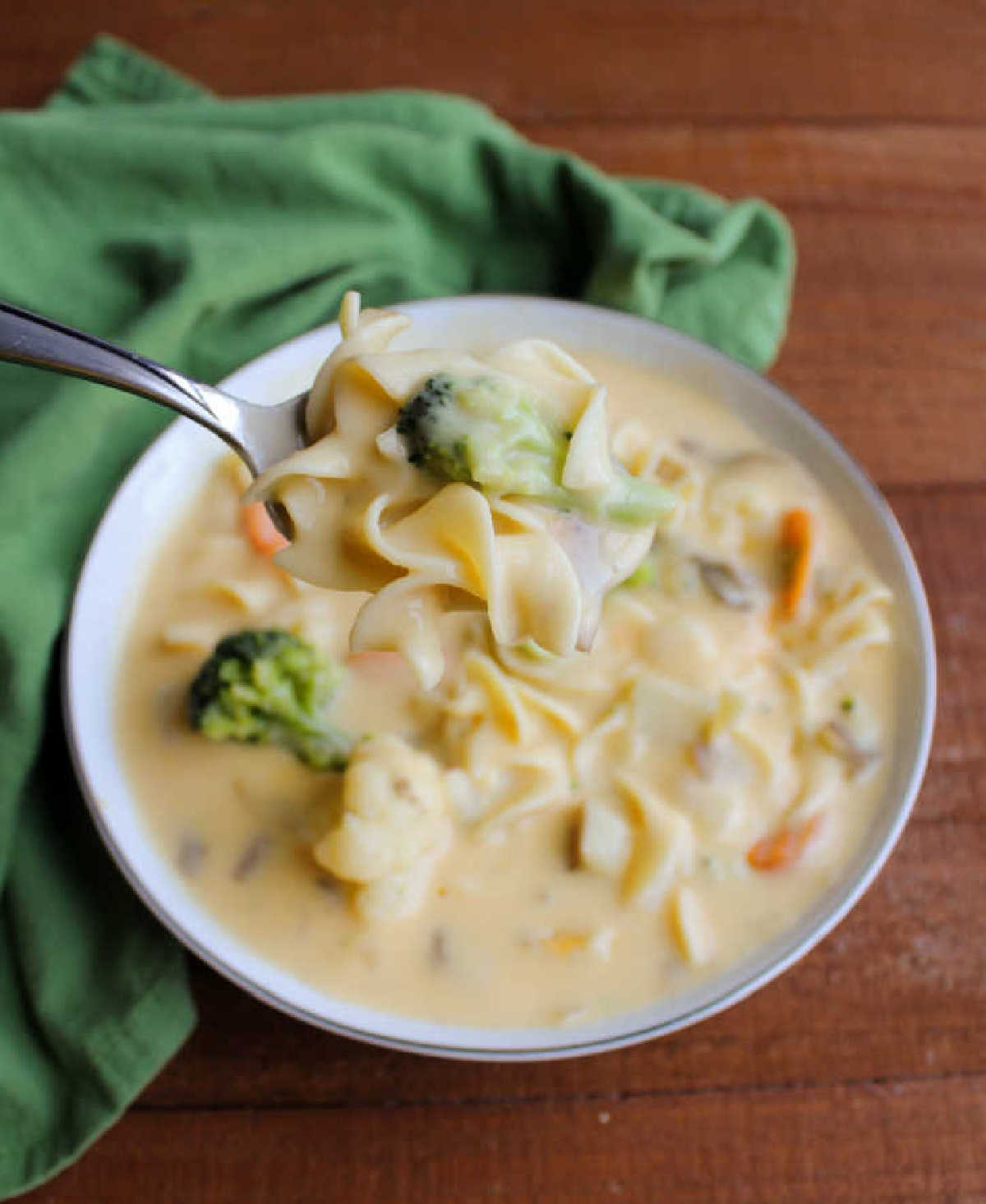 spoonful of kelly's cheese soup with wide egg noodles, broccoli, cauliflower and more.
